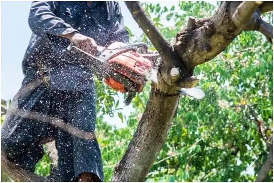 tree services Herriman